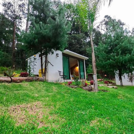 Romanticas Cabanas En Bosque Acaxochitlán Exterior foto