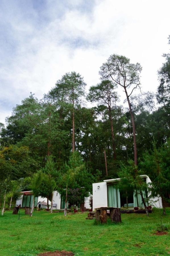 Romanticas Cabanas En Bosque Acaxochitlán Exterior foto