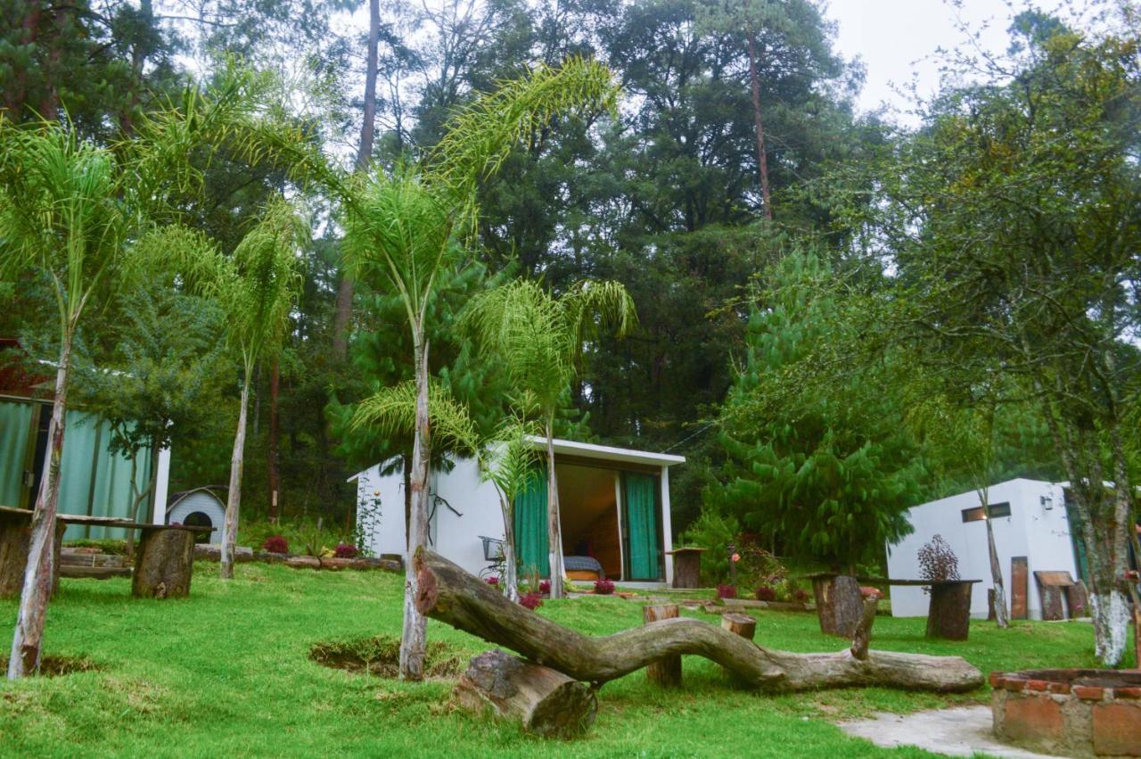 Romanticas Cabanas En Bosque Acaxochitlán Exterior foto