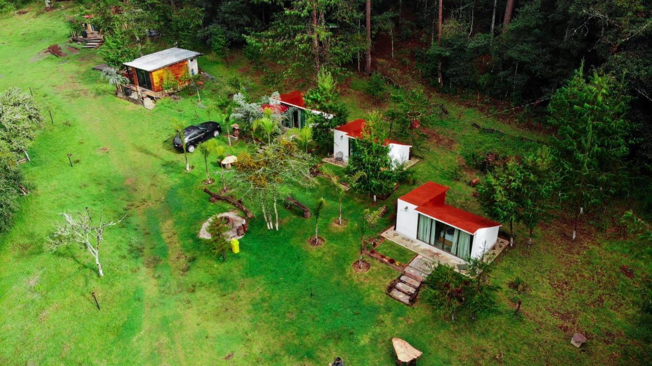 Romanticas Cabanas En Bosque Acaxochitlán Exterior foto