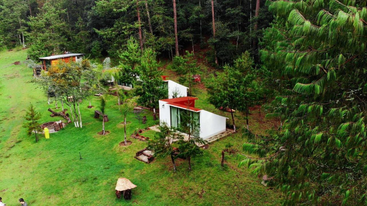 Romanticas Cabanas En Bosque Acaxochitlán Exterior foto